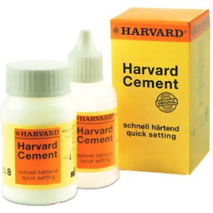 Harvard Oxyphosphat Cement poudre + liquide